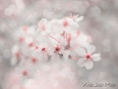 �������Ը���Ϊ�Լ���̫�� (4)