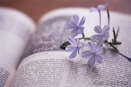 早安心语:挨得住多深的诋毁,就经得住多大的赞美 (8)