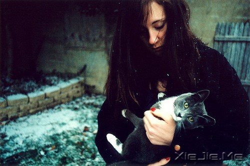 xwjF6 xwjF6